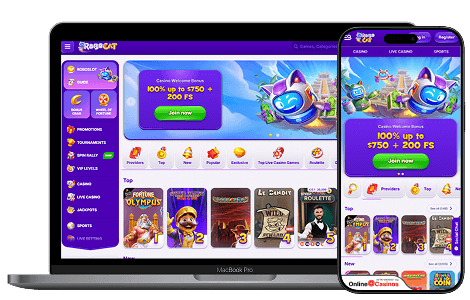 RoboCat Casino Review